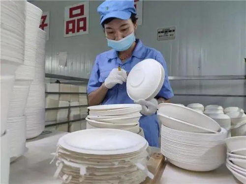 火了 廣西來(lái)賓用甘蔗渣生產(chǎn)環(huán)保餐具,一公司年產(chǎn)1萬(wàn)噸食品級(jí)環(huán)保餐具