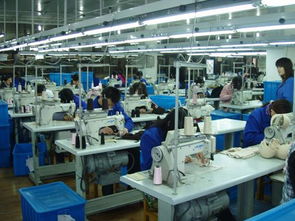 杭州服裝產(chǎn)業(yè)集聚區(qū)解析 大型服裝廠(chǎng)主要分布區(qū)域